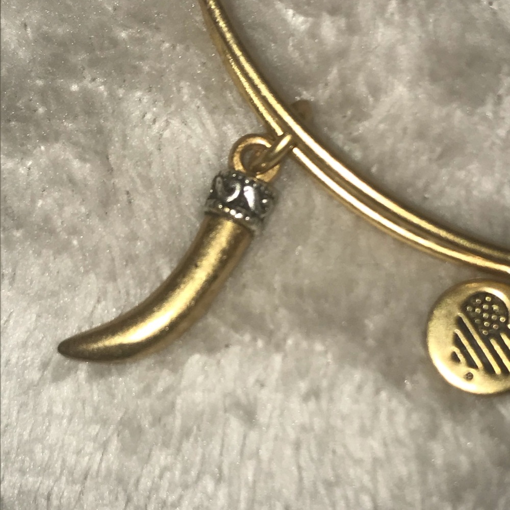 Alex & Ani bracelet